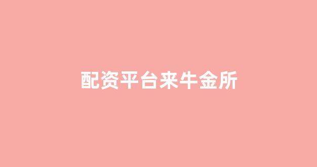 股票配资是什么意思